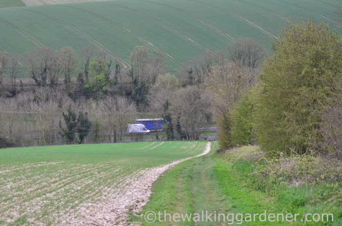pyecombe-to-southease-south-downs-way-28