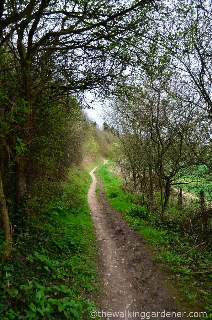 pyecombe-to-southease-south-downs-way-32