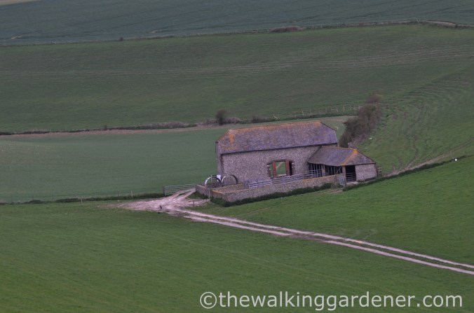 pyecombe-to-southease-south-downs-way-33