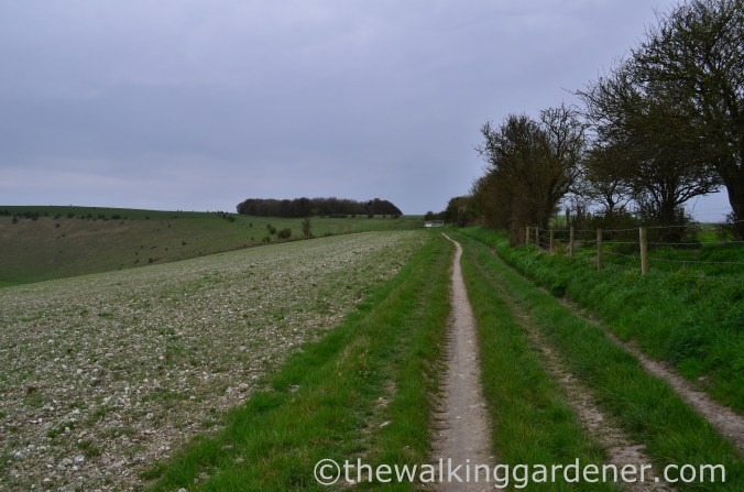 pyecombe-to-southease-south-downs-way-38