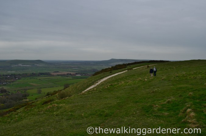 pyecombe-to-southease-south-downs-way-40
