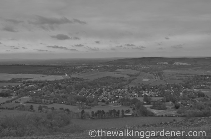 view-from-kingston-hill