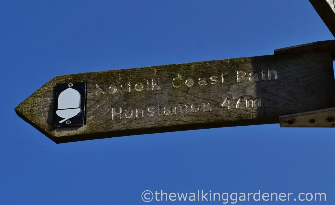 Cromer to Blakeney (1)