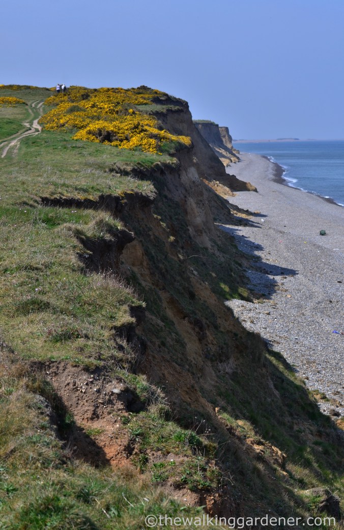 Cromer to Blakeney (14)