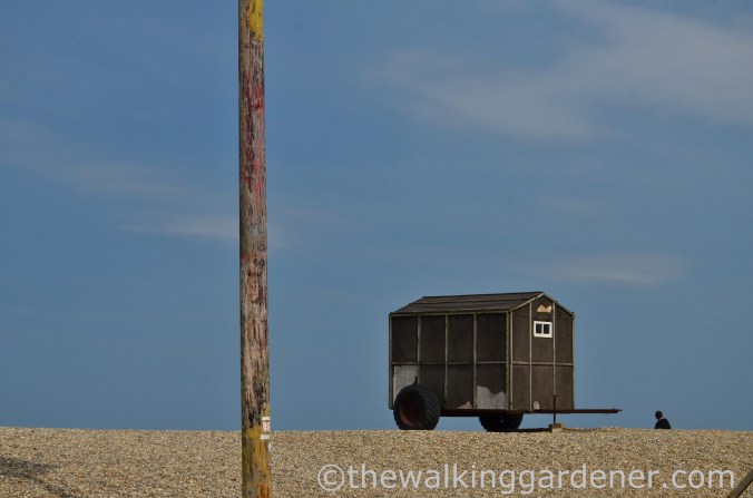 Cromer to Blakeney (18)