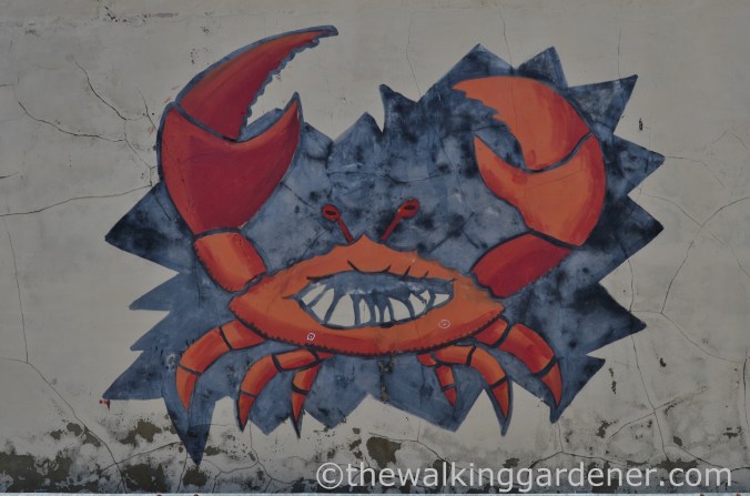 Cromer to Blakeney (2)