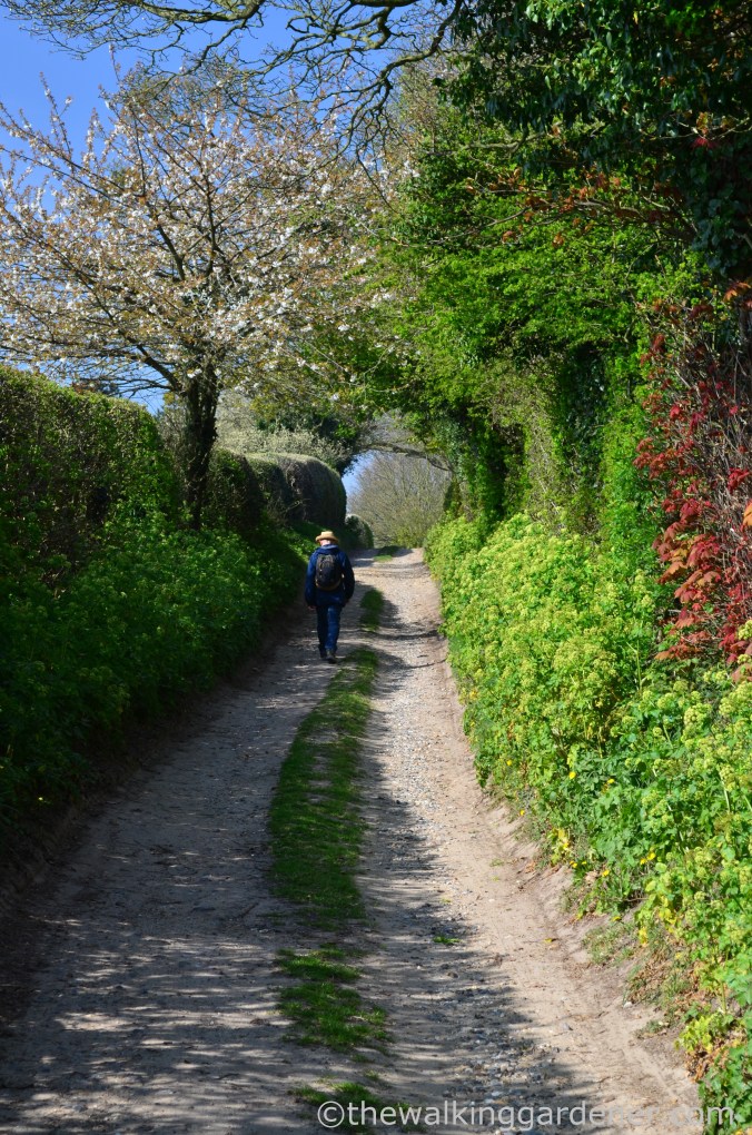 Cromer to Blakeney (3)