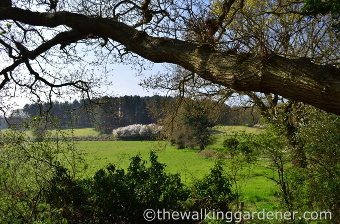 Cromer to Blakeney (5)