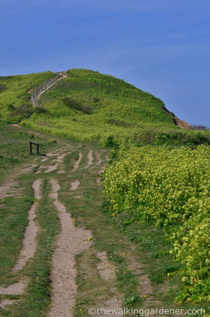 Cromer to Blakeney (9)