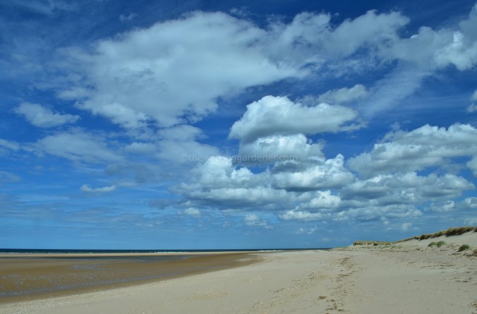 Norfolk Beach(1)