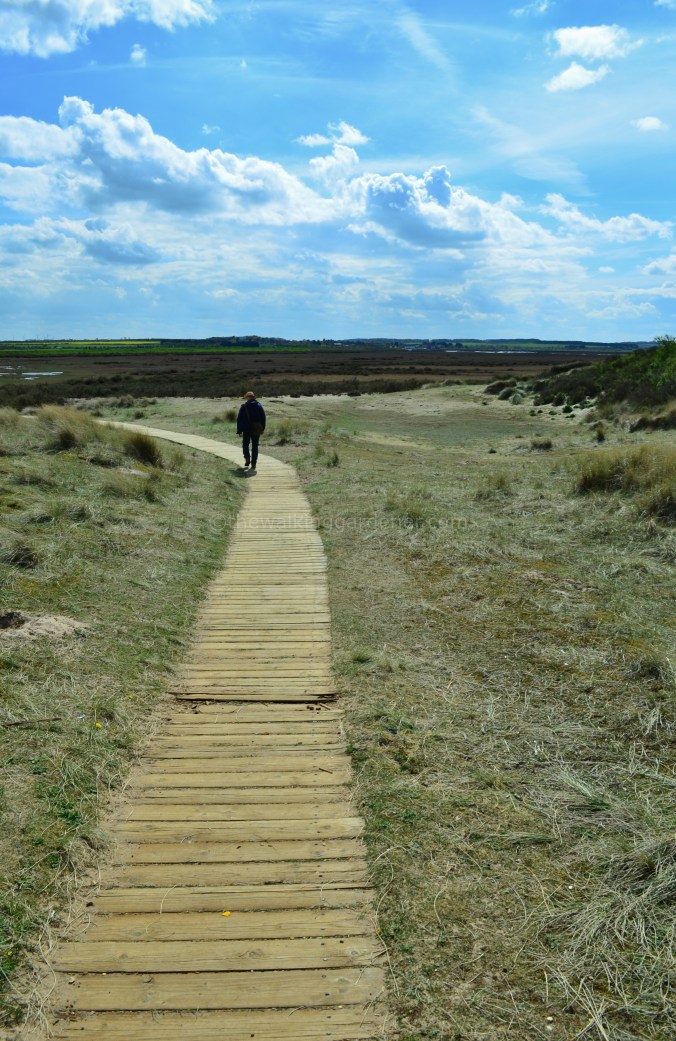 Norfolk Coast Path (12)