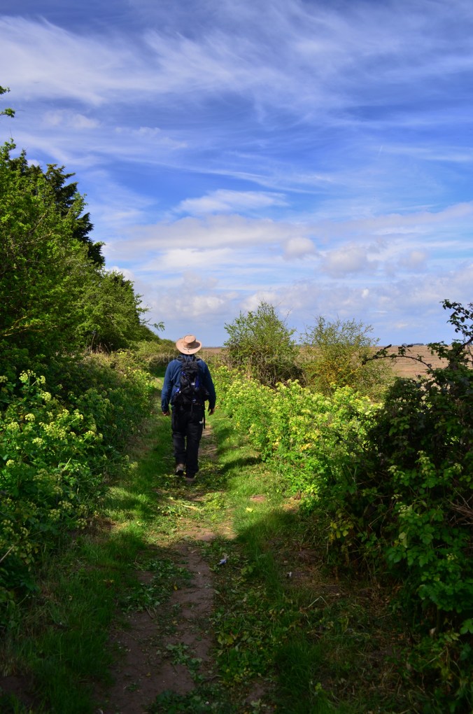Norfolk Coast Path (6)