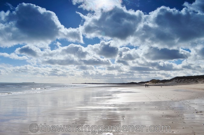 St Oswalds Way Day 4 (17)