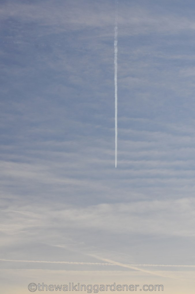 The Ridgeway Day 1 Overton Hill to Liddington (10)