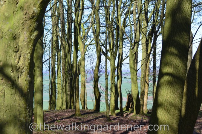 The Ridgeway Day 1 Overton Hill to Liddington