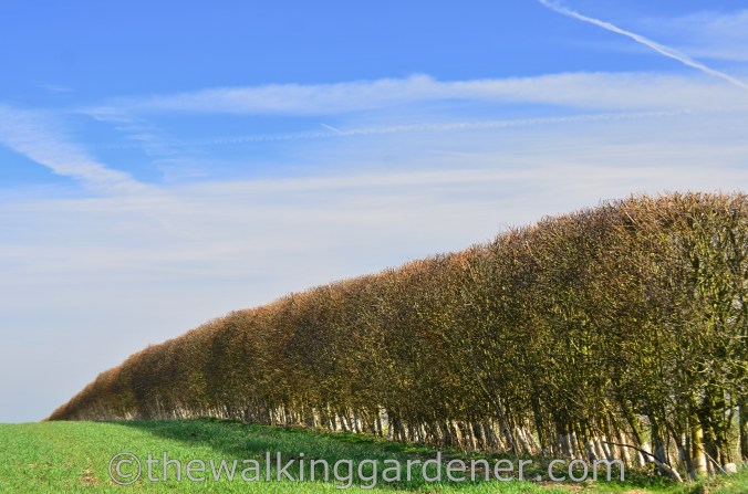 The Ridgeway Day 1 Overton Hill to Liddington 