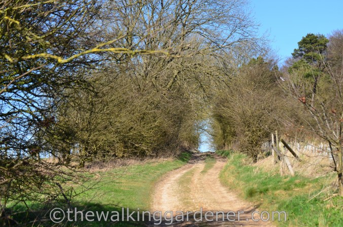 The Ridgeway Day 1 Overton Hill to Liddington (16)