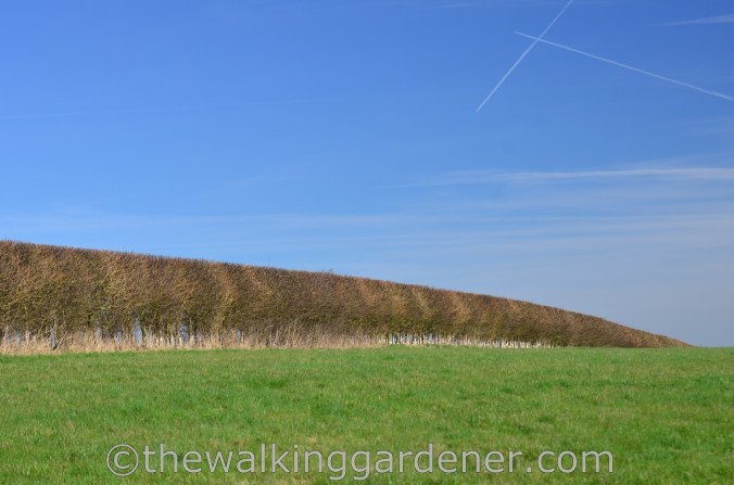 The Ridgeway Day 1 Overton Hill to Liddington (17)
