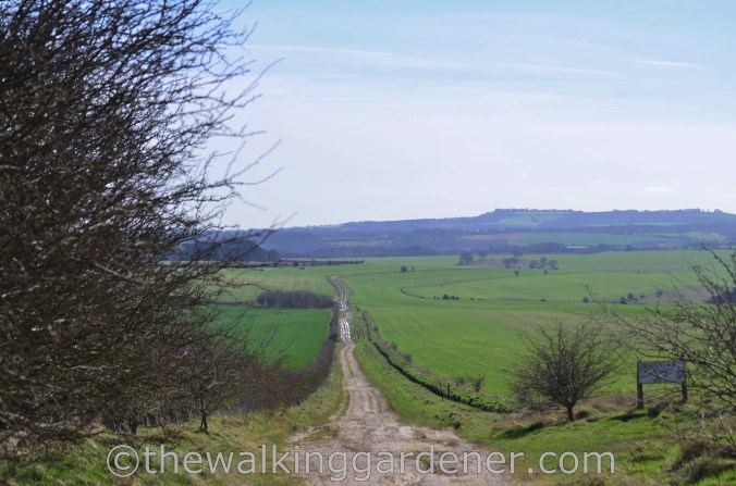 The Ridgeway Day 1 Overton Hill to Liddington 
