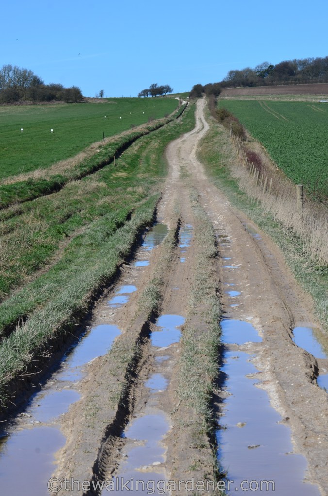 The Ridgeway Day 1 Overton Hill to Liddington 