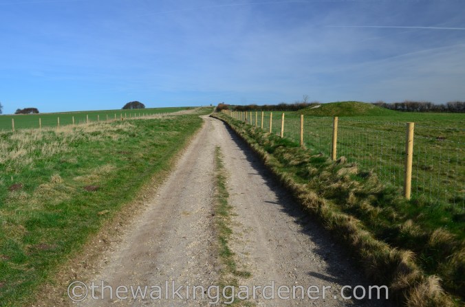 The Ridgeway Day 1 Overton Hill to Liddington