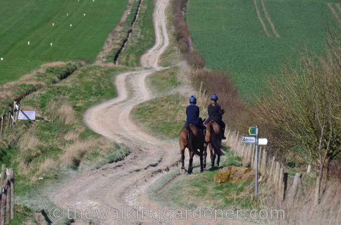 The Ridgeway Day 1 Overton Hill to Liddington 