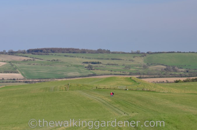 The Ridgeway Day 1 Overton Hill to Liddington 