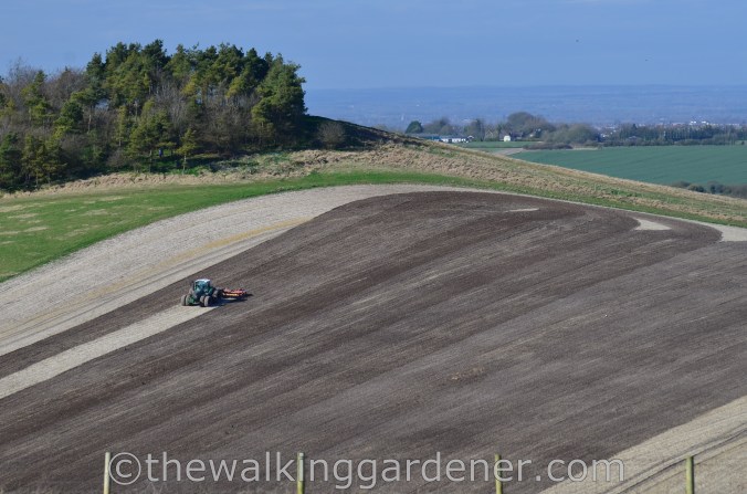 The Ridgeway Day 1 Overton Hill to Liddington (23)
