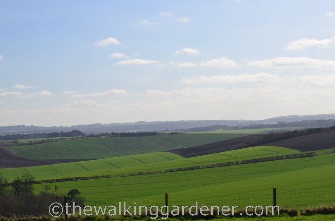 The Ridgeway Day 1 Overton Hill to Liddington (24)