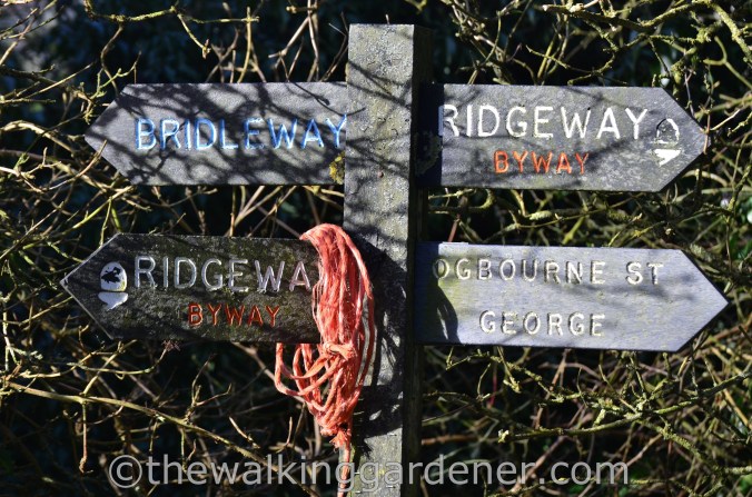 The Ridgeway Day 1 Overton Hill to Liddington (27)