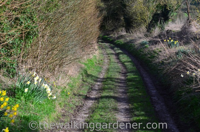 The Ridgeway Day 1 Overton Hill to Liddington 