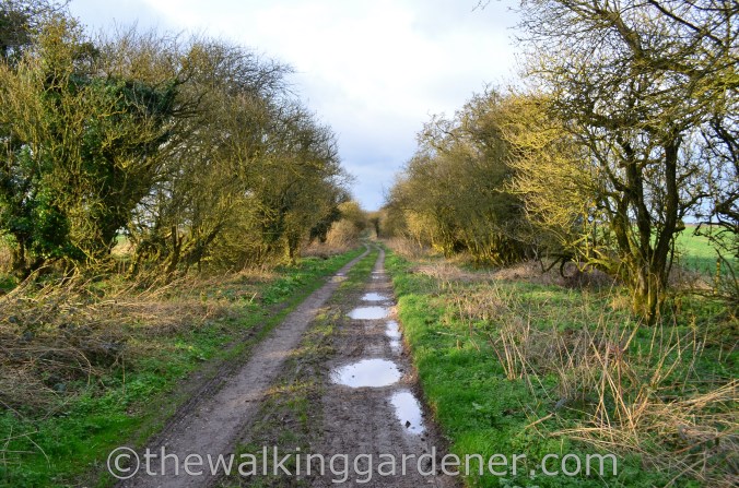 The Ridgeway Day 1 Overton Hill to Liddington 