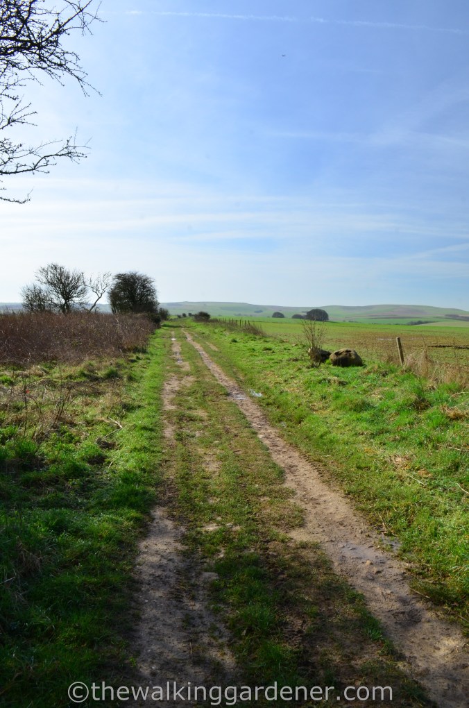 The Ridgeway Day 1 Overton Hill to Liddington (6)