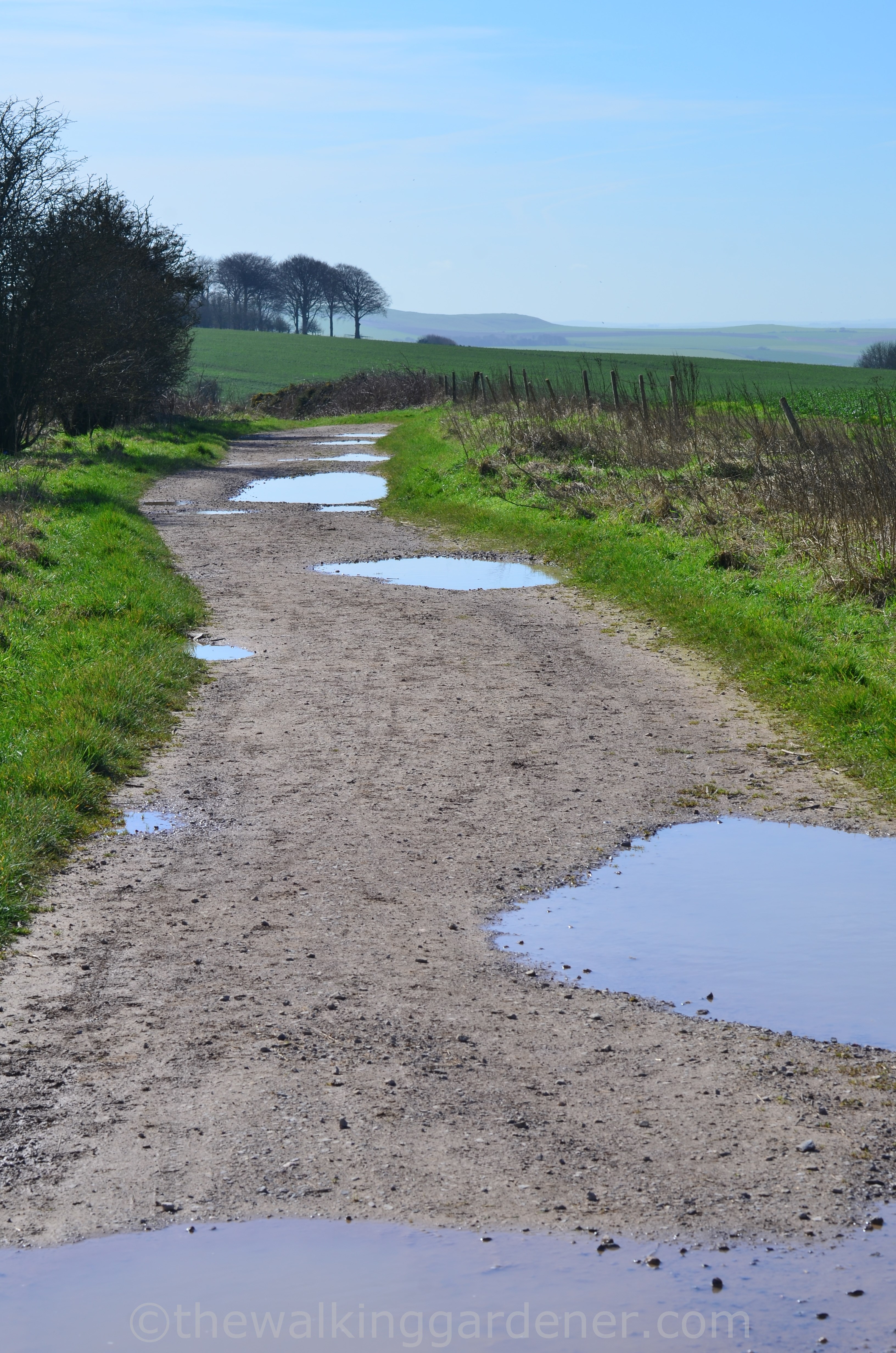The Ridgeway Path