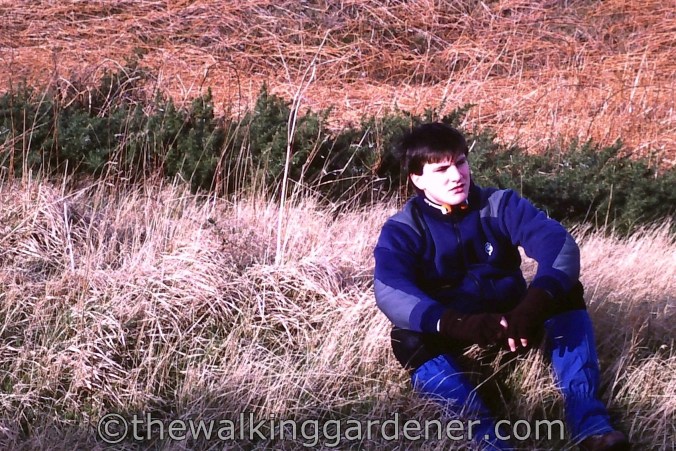 Walking Gardener (2)