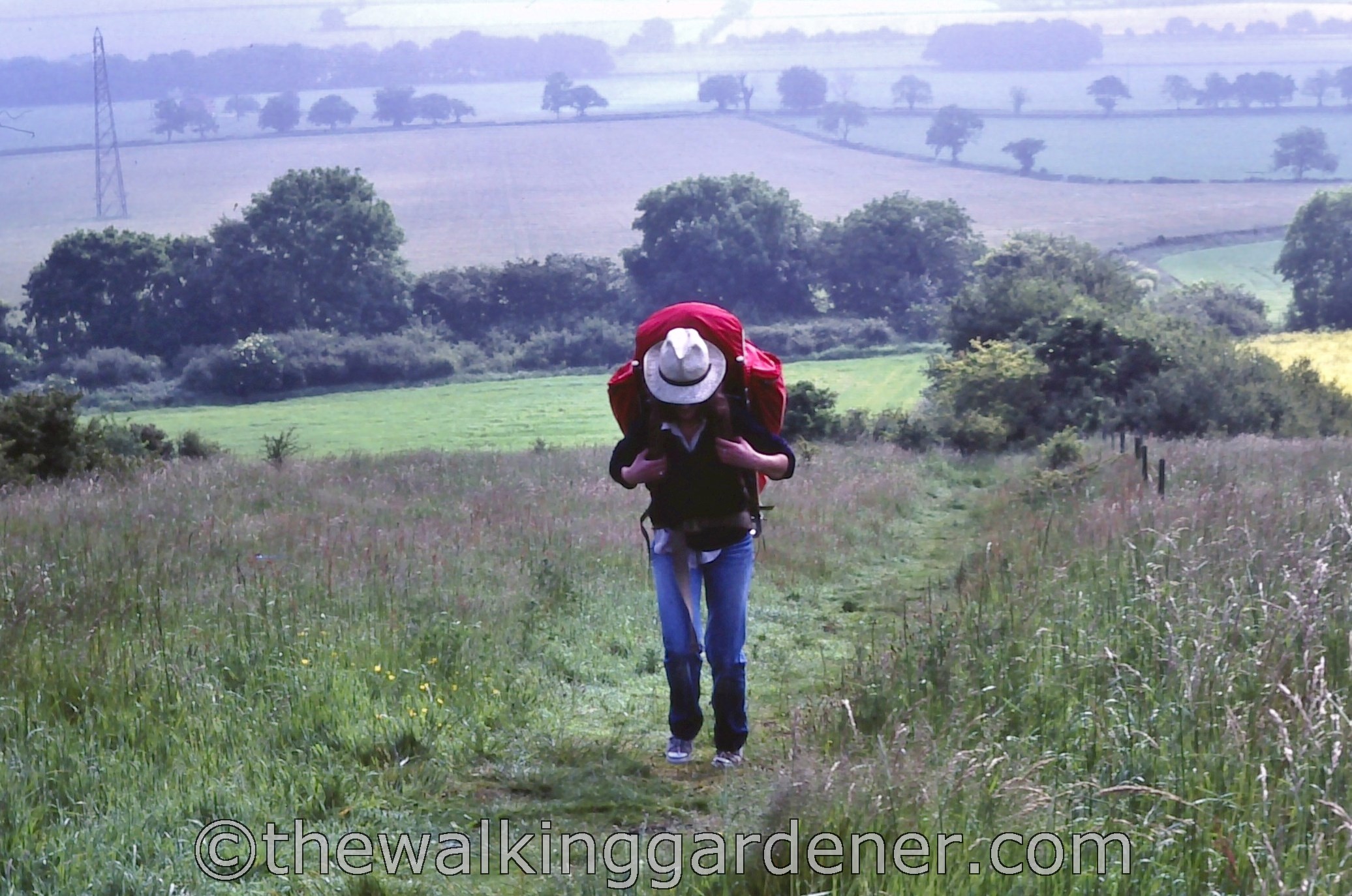The Ridgeway 1981