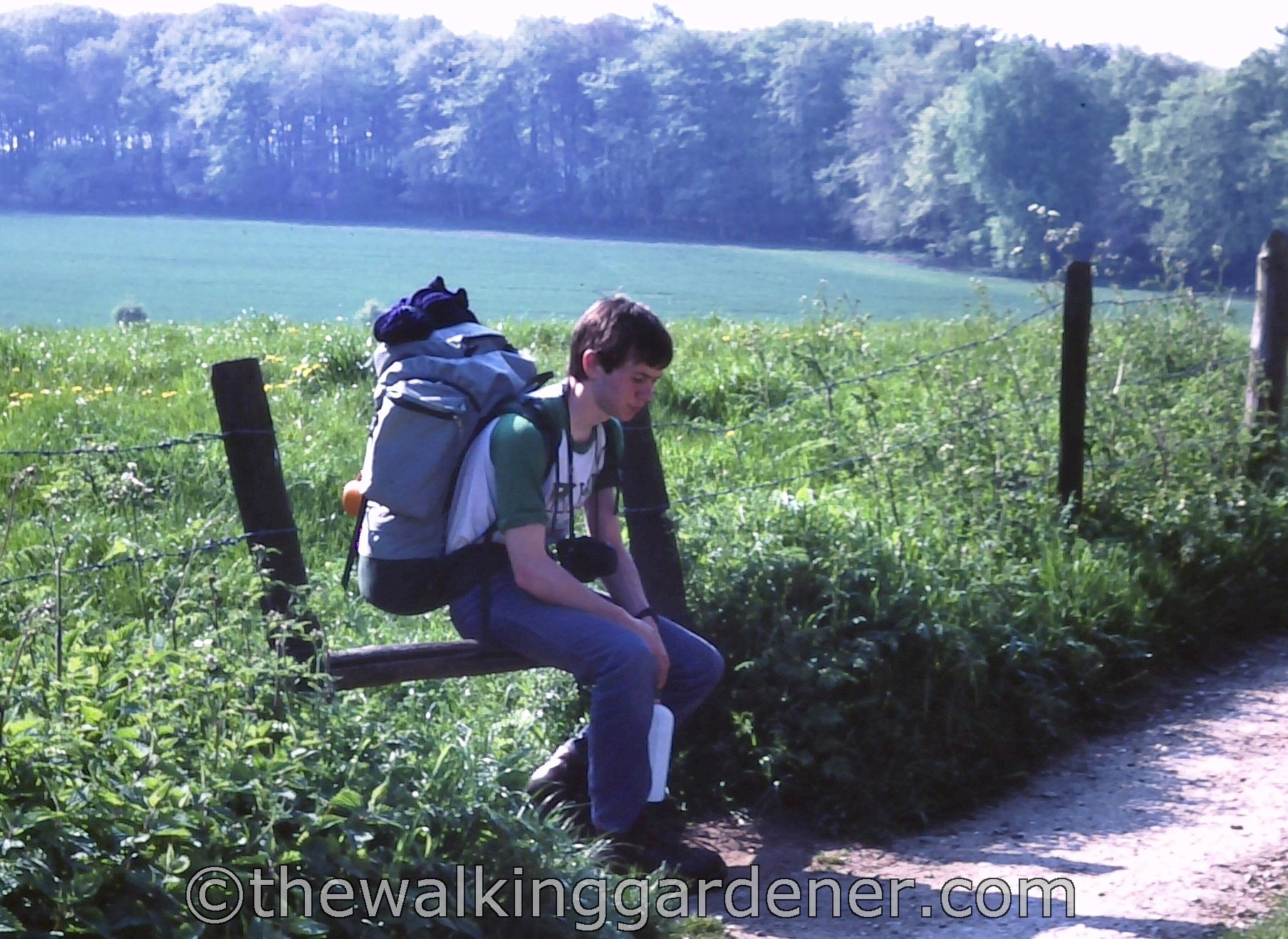 The Ridgeway 1982