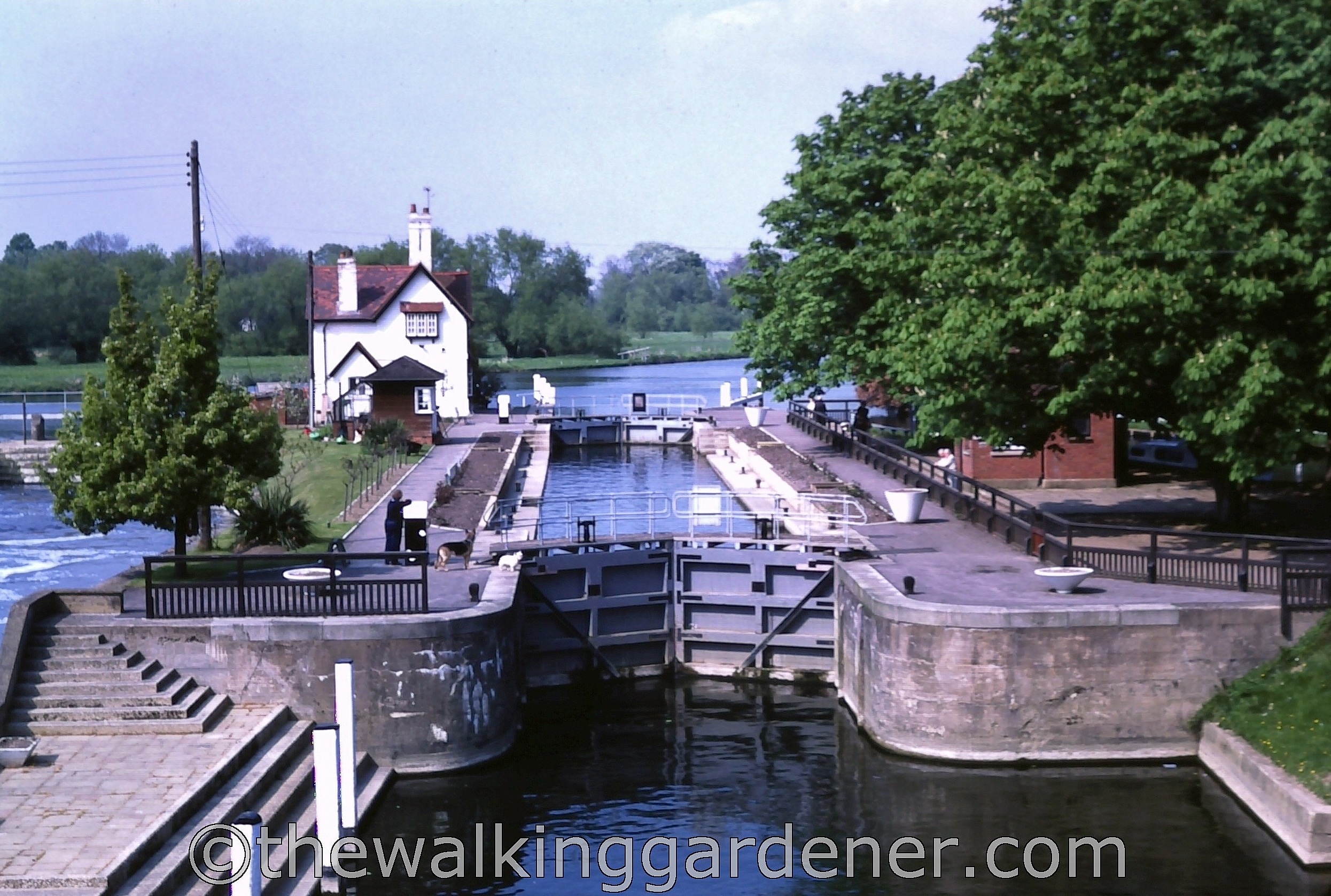 Goring on Thames 1982