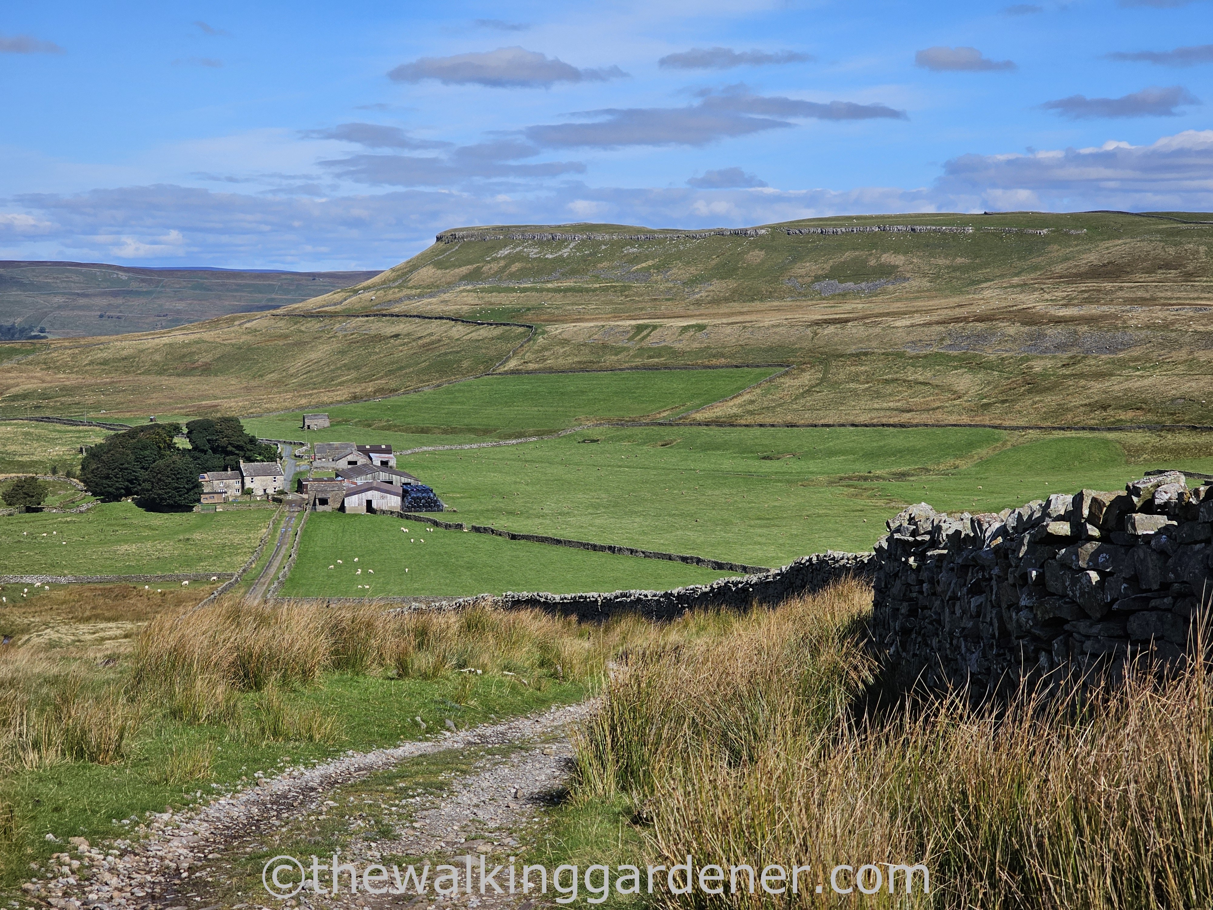 A scenic view of a countryside landscape featuring a dirt path leading towards traditional farm buildings, surrounded by lush green fields and low hills under a partly cloudy sky.